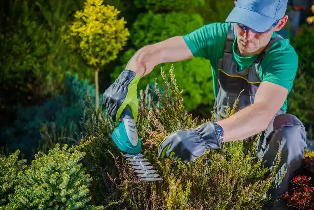 landscaping services Pemberville